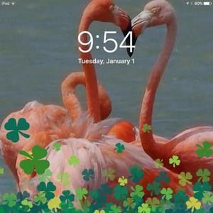 Meet your Posher, Joanne